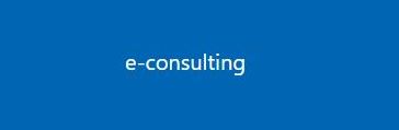 econsulting