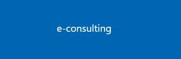 econsulting